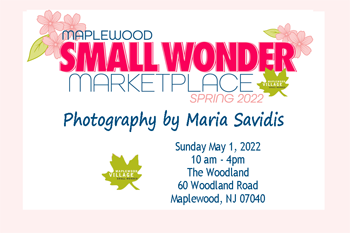 Maplewood Small Wonder Marketplace