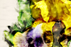 Watercolorized Iris - Spring - Montclair - NJ