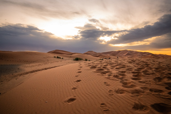 Sahara Sunset