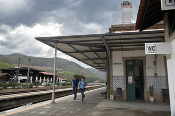 Castanheiro,Portugal