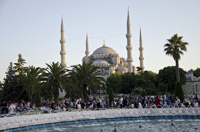 BlueMosque9764