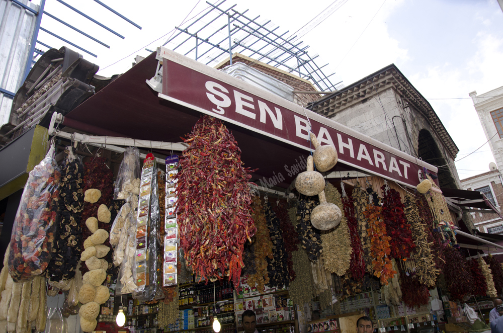 photograph of Istanbul, Turkey