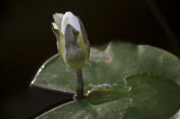 Kusadasi, Turkey 2015-0132