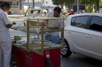 Kusadasi, Turkey 2015-0390