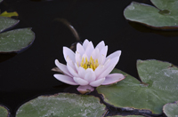 Kusadasi, Turkey 2015-0429