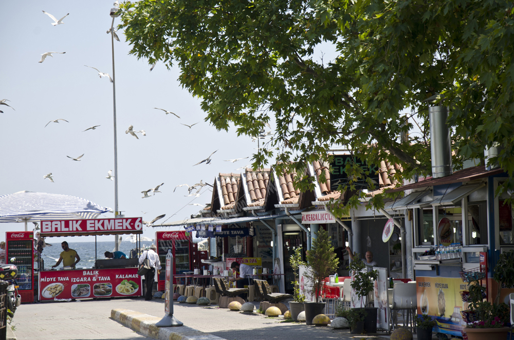 Tekirdag, Turkey 2015