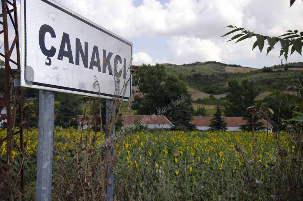 Tsanaktsi, Tekirdag, Turkey