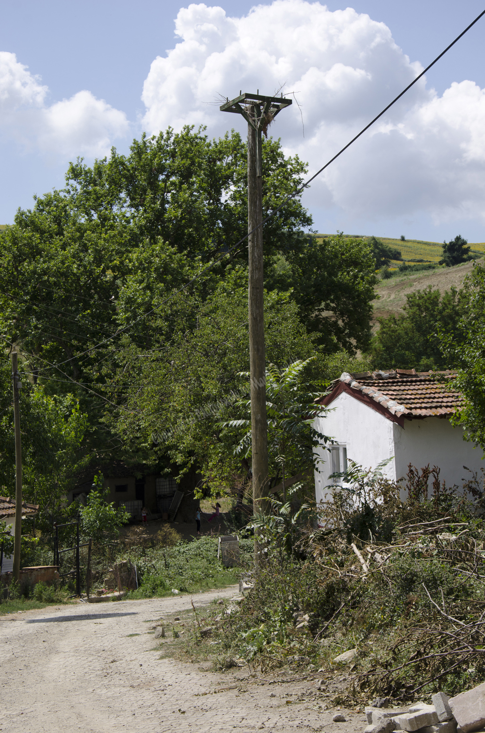 Tsanaktsi, Tekirdag, Turkey
