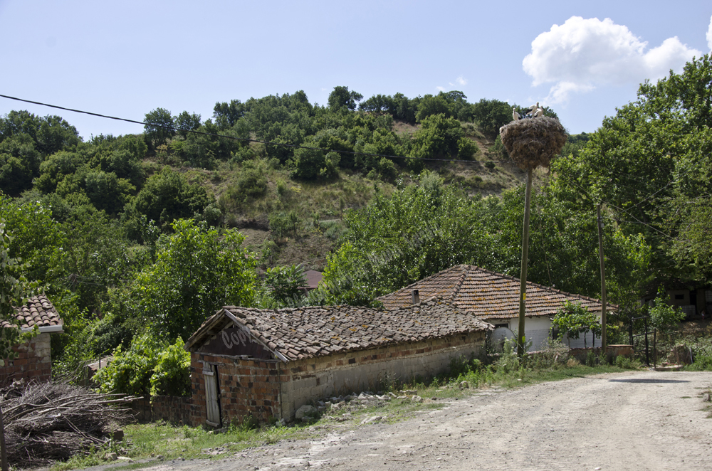 Tsanaktsi, Tekirdag, Turkey