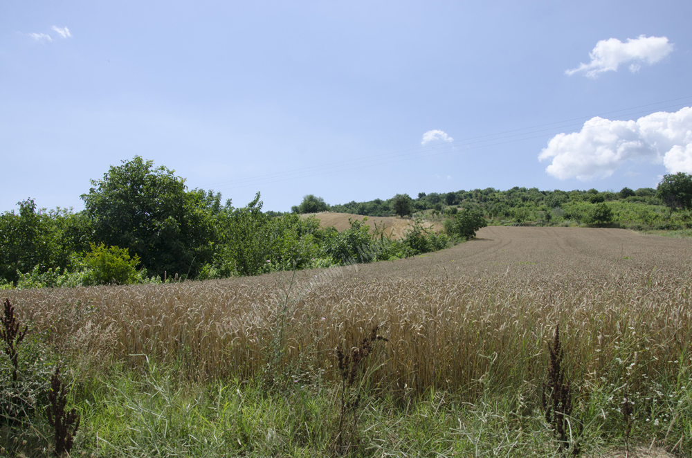 Tsanaktsi, Tekirdag, Turkey