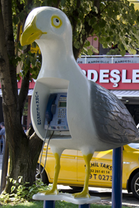 Tekirdag, Turkey 2015-9529, Crazy Phone