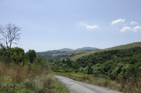 Tsanaktsi, Tekirdag, Turkey 9615