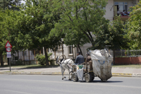 Tekirdag, Turkey 9742