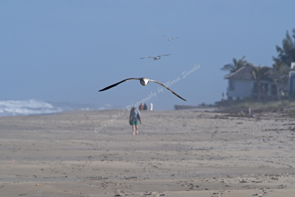 Jupiter, Florida