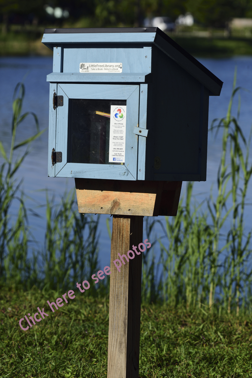 Click to see photos from Lake Worth, Florida