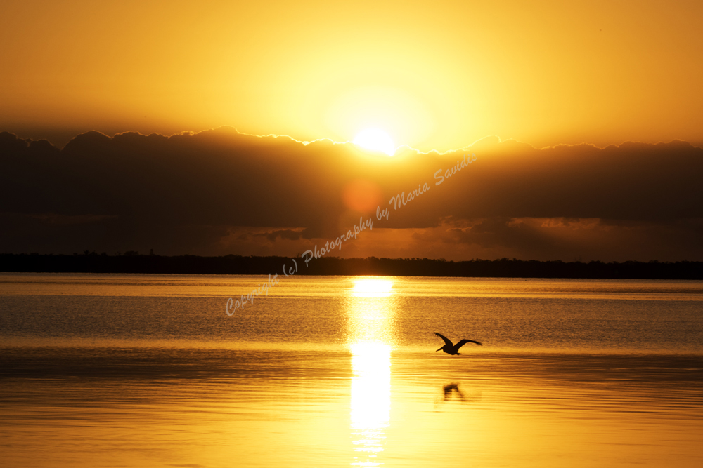 Sebastian, Florida