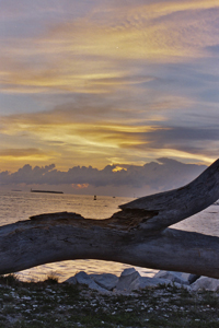 Zachary Park, Key West Florida 2004-143181-16-013