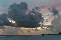 SarasotaFlorida2004-026-24