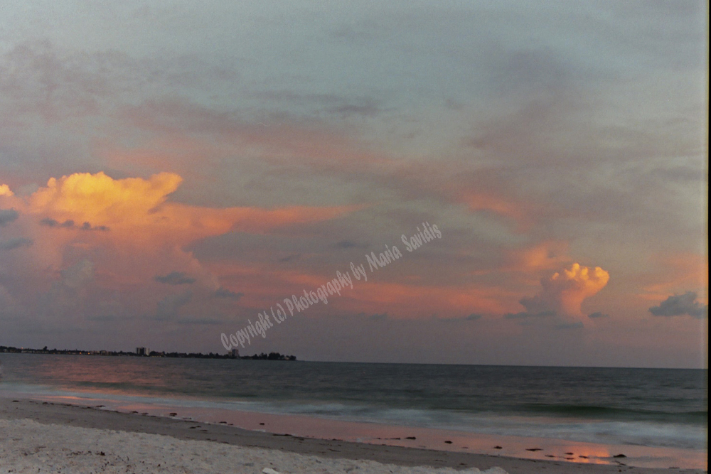 Zachary Park, Key West Florida 2004-143159-26-23