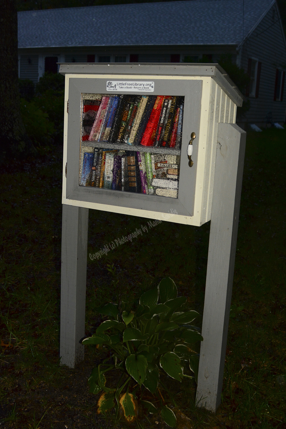 Little Free Library, Osterville, Cape Cod, Massachusets