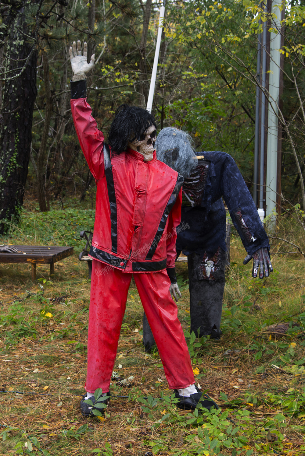 Halloween in Cape Cod, Massachusets, 2017