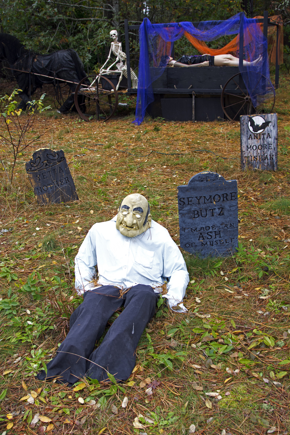 Halloween in Cape Cod, Massachusets, 2017