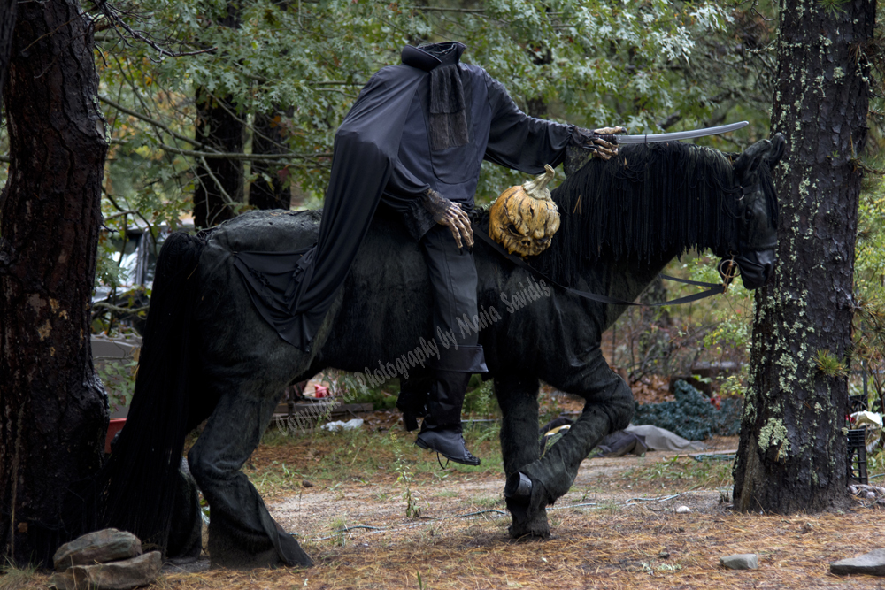 Halloween in Cape Cod, Massachusets, 2017