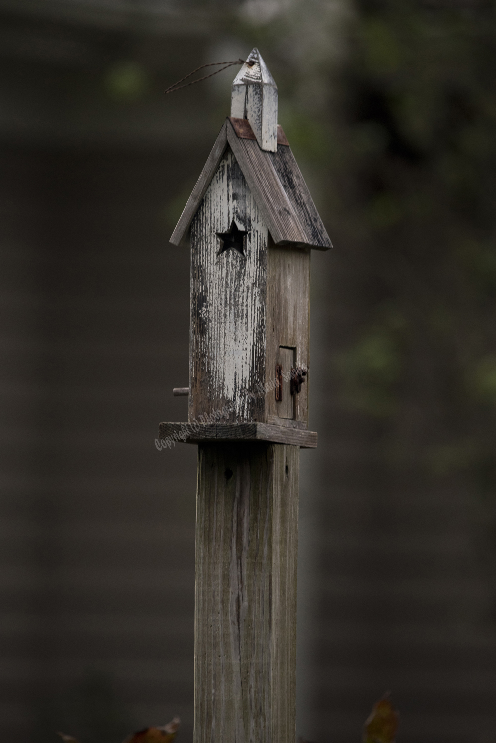 Bird House, Cape Cod, Massachusets