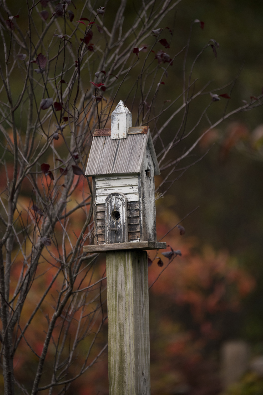 Bird House, Cape Cod, Massachusets