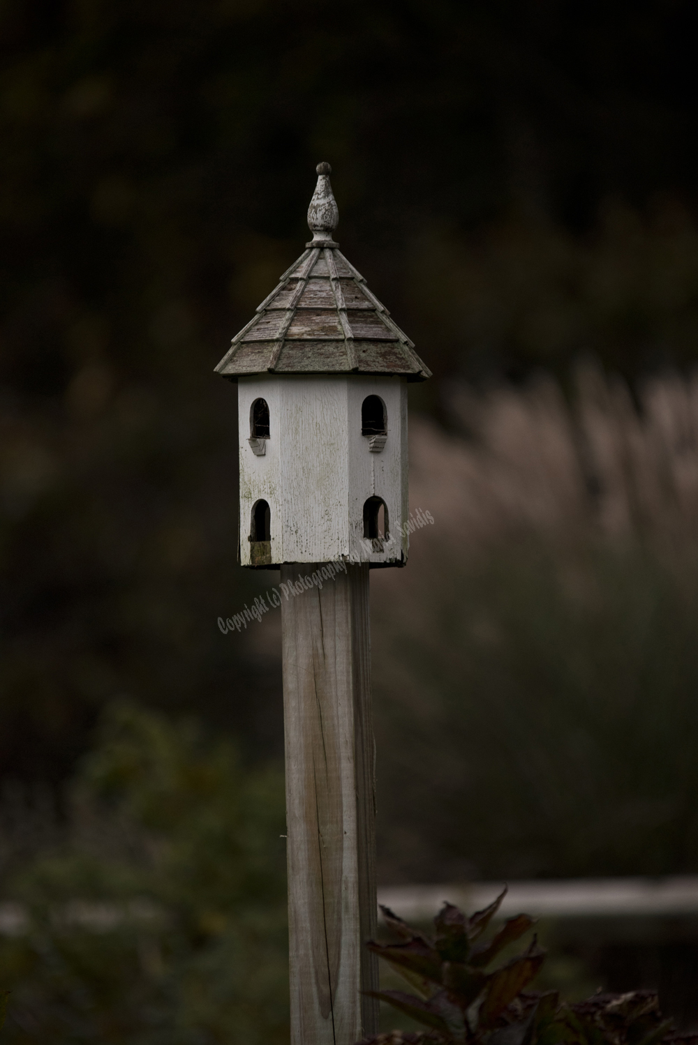 Bird House, Cape Cod, Massachusets