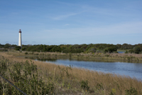 Cape May, NJ, USA 2015-5968