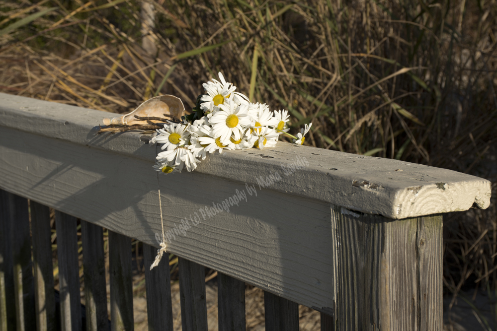 Cape May, NJ