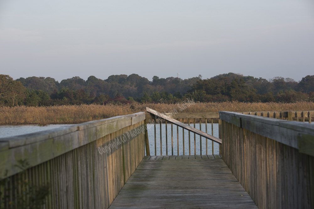 Cape May, NJ