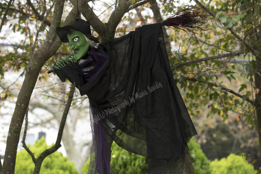 Scarecrows in Cape May, NJ