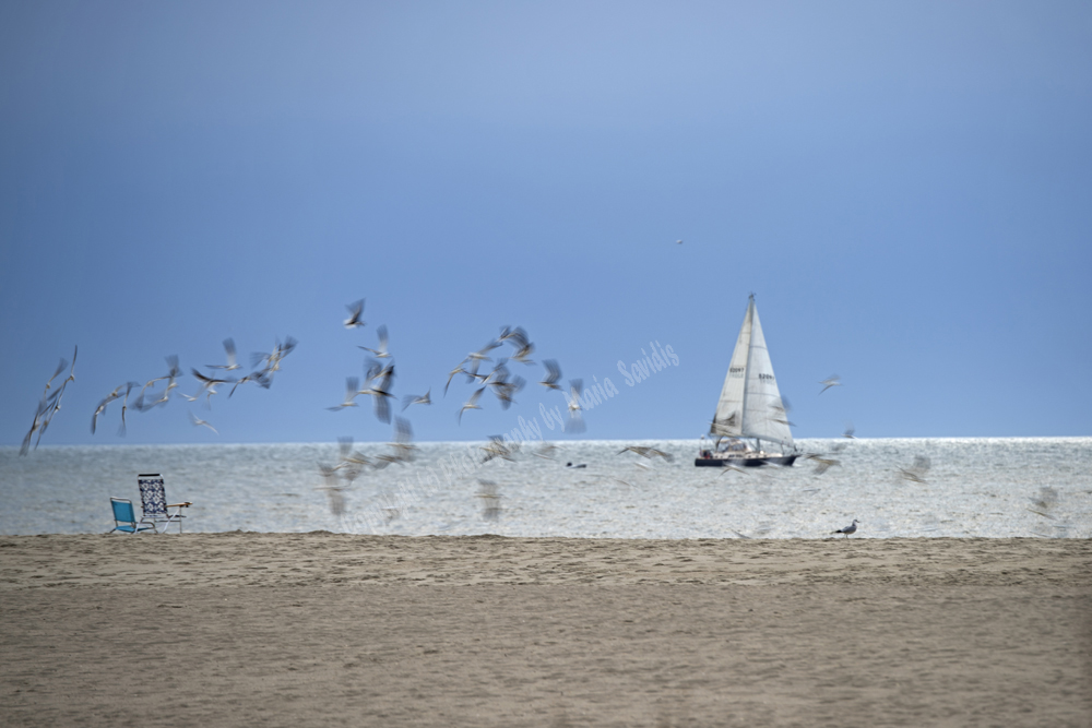 Cape May, NJ