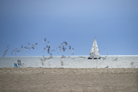 Cape May, NJ, USA 2016 81d9501