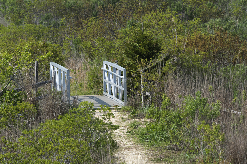 Cape May, NJ