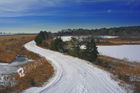 Snowy Path, Edwin B Forsythe National Wildlife Preserve 2019-71d-5696