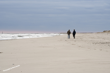 Island Beach State Park, New Jersey, USA