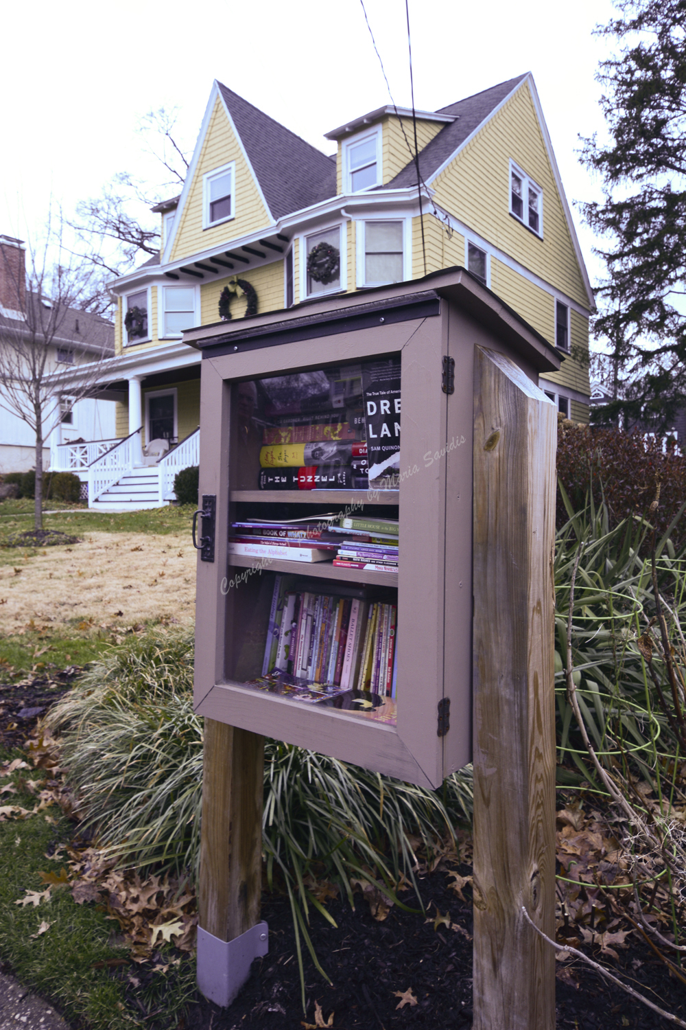 Maplewood, NJ December 2018 - Little Free Library
