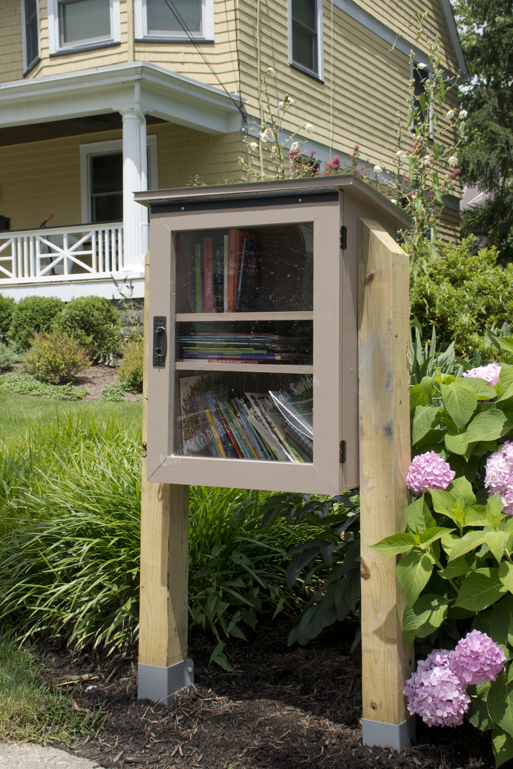 Little Free Library, Maplewood, NJ