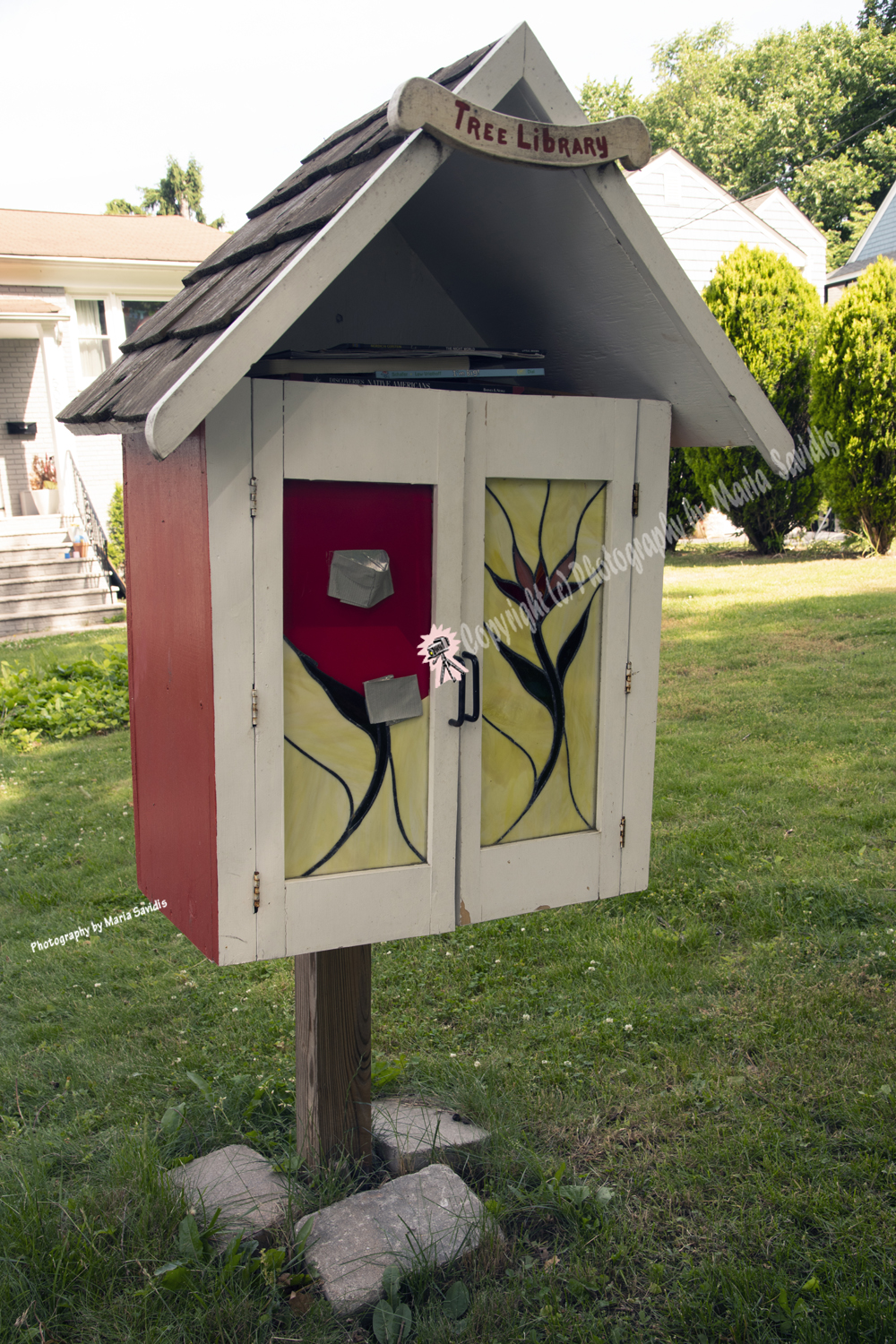 Maplewood, NJ June 2020-8ds-4732, Little Free Library