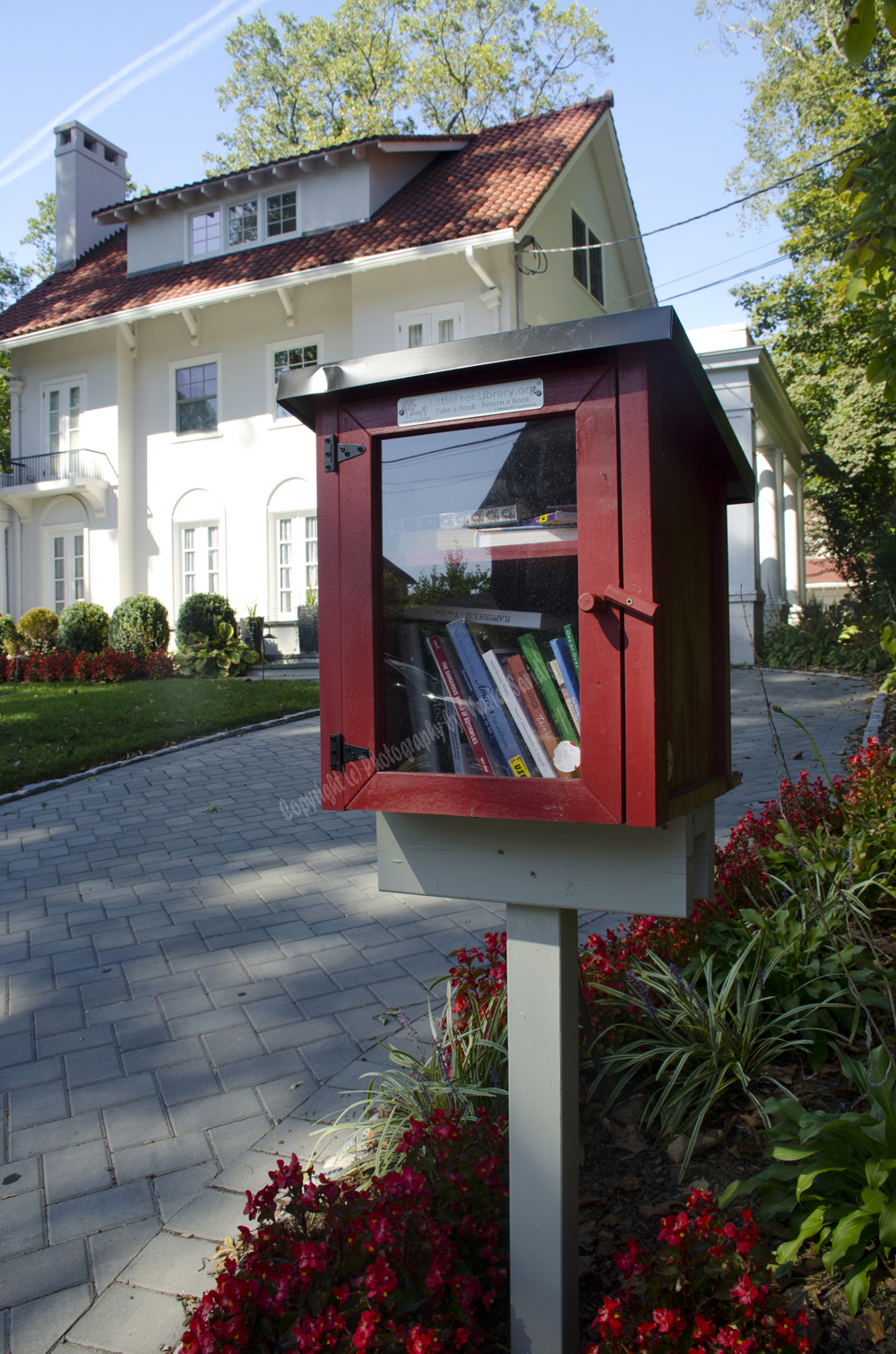 Little Free Library, Maplewood, NJ