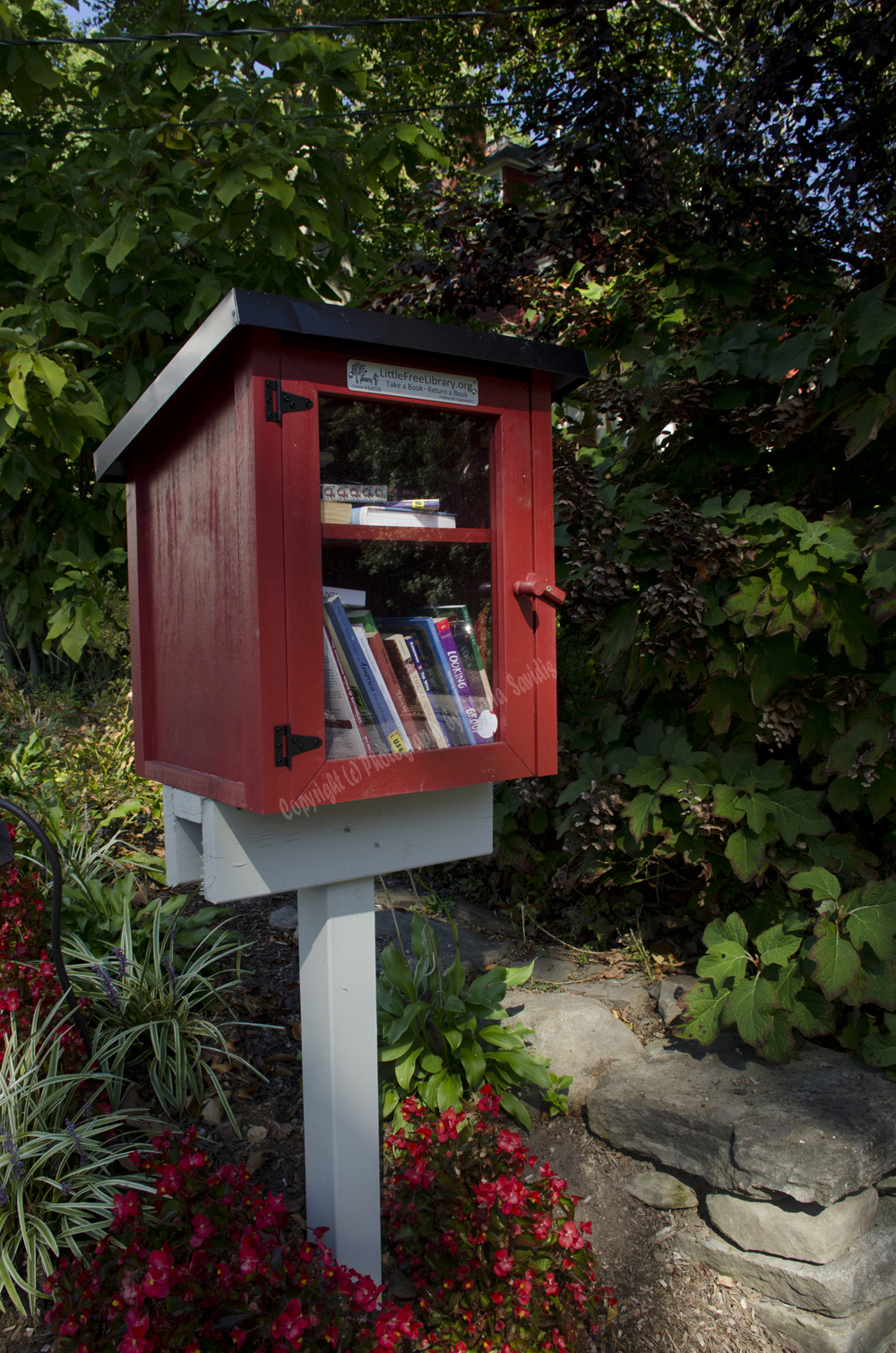 Little Free Library, Maplewood, NJ