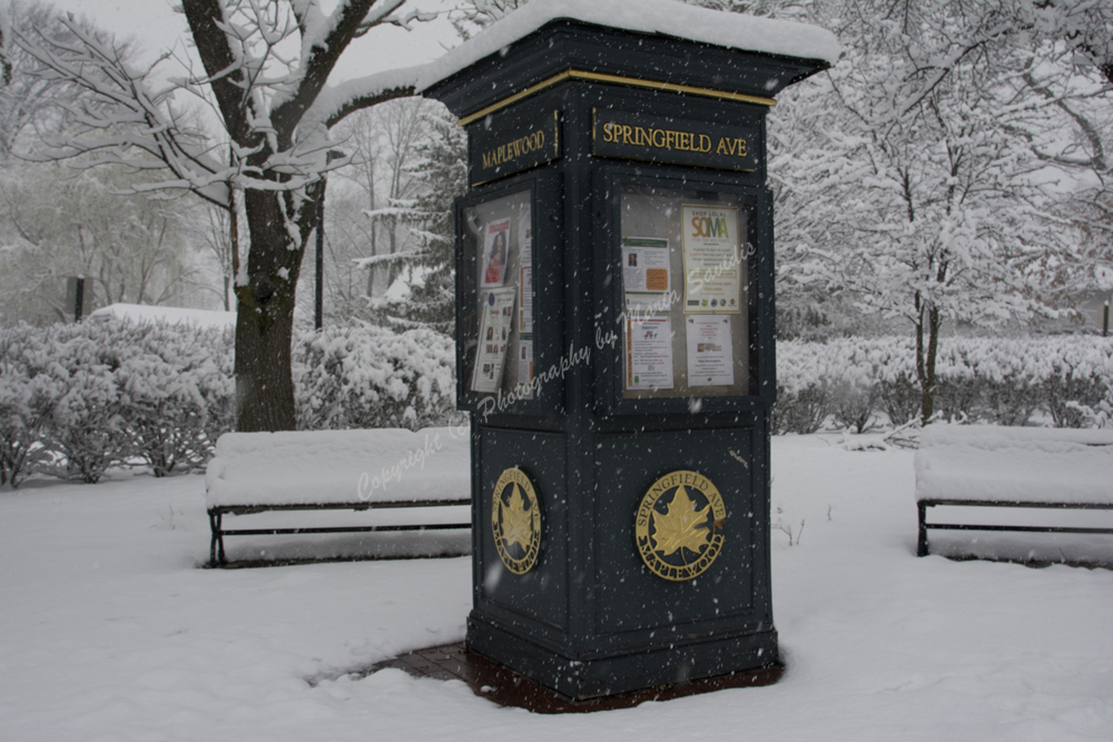  Spring Snow, Maplewood, NJ April 2018