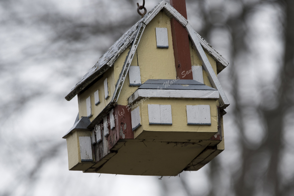 Birdhouse, Maplewood, NJ