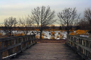 Secaucus, New Jersey, USA