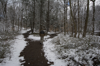 South Mountain Reservation, Maplewood and Millburn, after the snow, March 2017-71d-3226