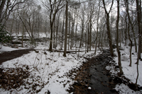 South Mountain Reservation, Maplewood and Millburn, after the snow, March 2017-71d-3227