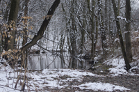 South Mountain Reservation, Maplewood and Millburn, after the snow, March 2017-70d-7360